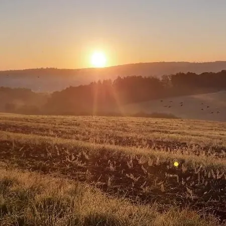 Auenland * 布劳恩费尔斯