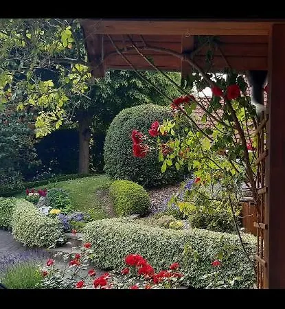 Auenland Apartmán Braunfels