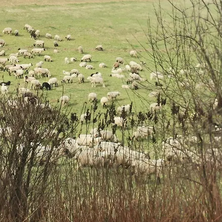 Auenland Apartman Braunfels