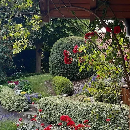 Auenland * 布劳恩费尔斯