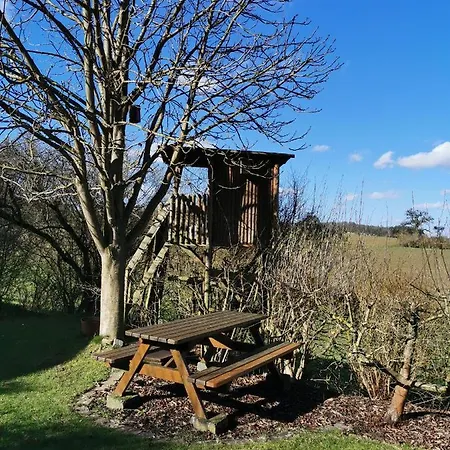 Auenland * 布劳恩费尔斯