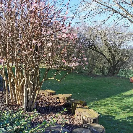 Auenland * 布劳恩费尔斯