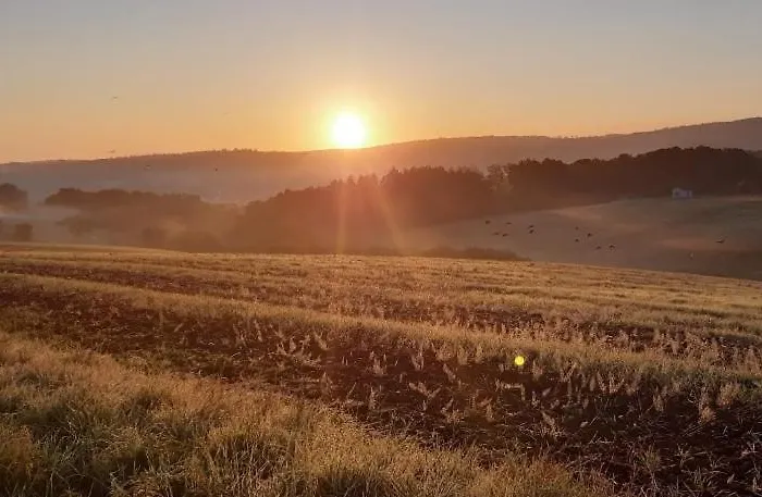 Auenland * Braunfels