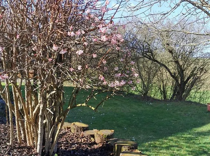 Auenland Apartmán *