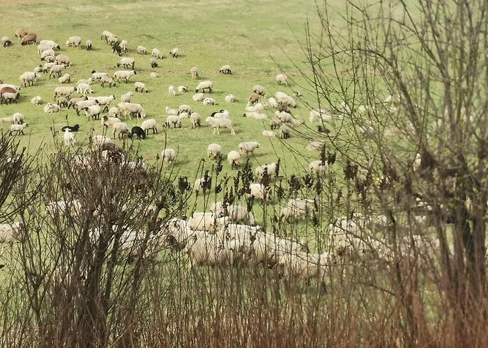 Auenland Apartmán Braunfels