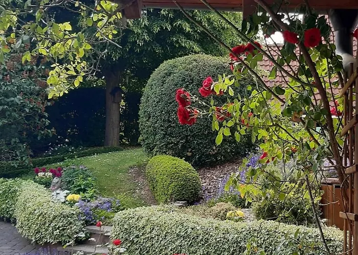 Auenland * Braunfels