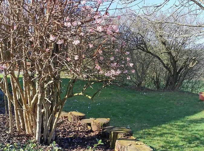 Auenland * Braunfels