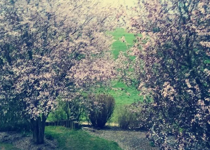 Apartmán Auenland *